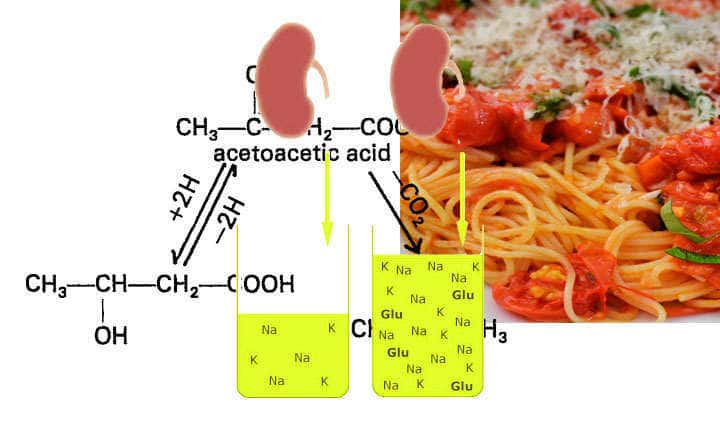 What is acetoacetic acid