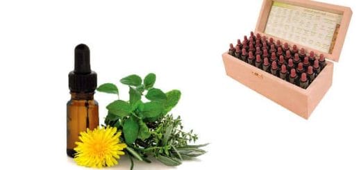 Bach Flowers, their uses and properties for sleep, anxiety, weight loss…