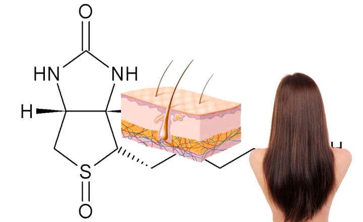 Biotin what it is vitamin H or B7 and B8