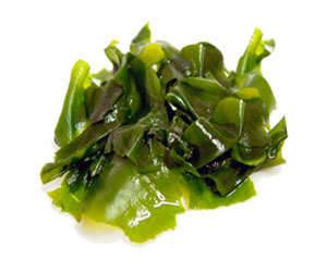 Types of edible sea and freshwater algae Brown seaweeds
