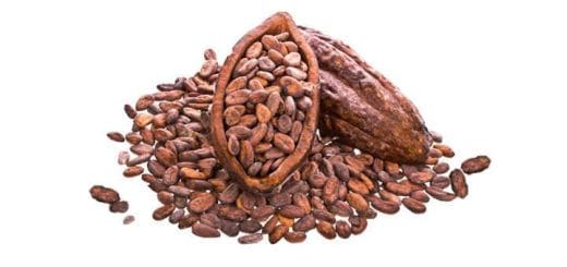 Organic cacao seeds, roasted and fresh, benefits of cocoa Organic cacao seeds, roasted and fresh, benefits of cocoa