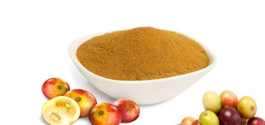 Benefits of taking camu camu in capsules or fruit Benefits of taking camu camu in capsules or fruit