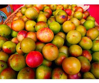 Camu camu with vitamin C, guaranteed properties! Camu camu fruit