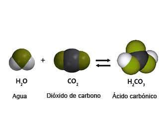 Carbonic Acid: What It Is, What It Is Used For, and Its Applications Carbonic acid in the human body