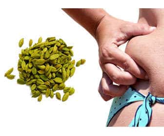 Properties of cardamom for weight loss