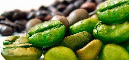 Chlorogenic acid is a phytochemical found in natural, unground, and untoasted green coffee beans. In recent years, it has… Chlorogenic acid is a phytochemical found in natural, unground, and untoasted green coffee beans. In recent years, it has…