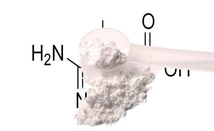 What is creatine used for