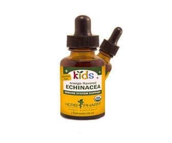 Echinacea for babies and young children