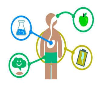 Effects of minerals on metabolism and people’s health
