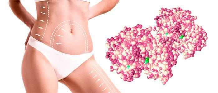 Enzymatic liposuction