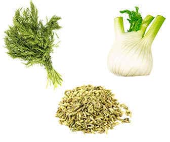 Parts of fennel that can be used for recipes