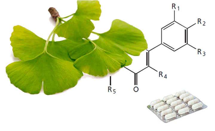 Flavonol glycosides and terpenic lactones