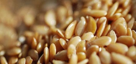 Golden flax seeds, properties, benefits, and how to take them for…