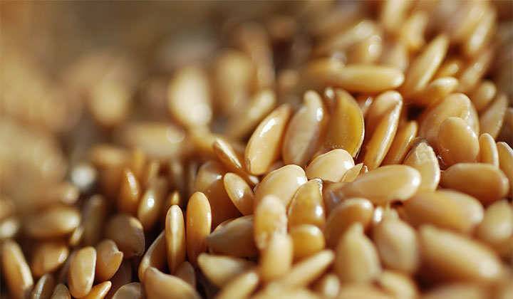 Golden flax seeds, properties, benefits, and how to take them for... Properties of golden flax seeds