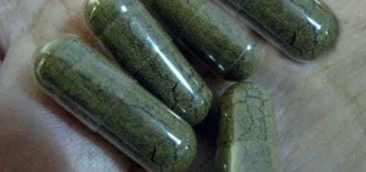 Fucus in capsules and tablets for health Fucus in capsules and tablets for health