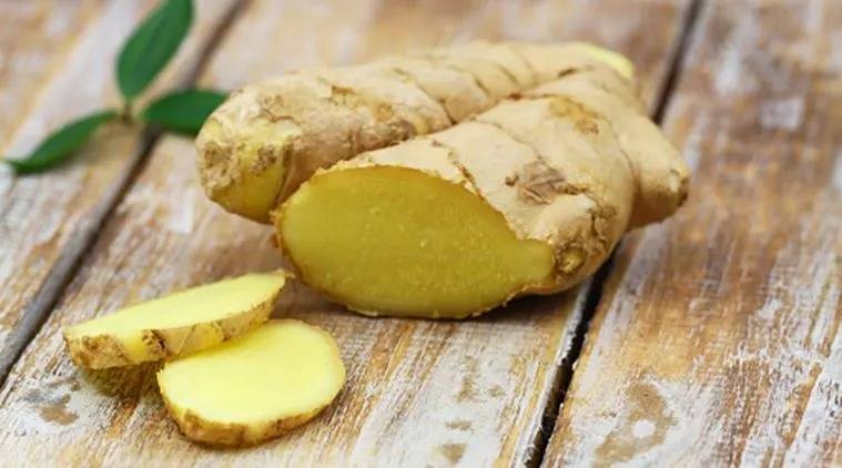 Ginger, Medicinal Properties and Benefits, Effects, and Ways of Use Ginger for pregnant women and nausea