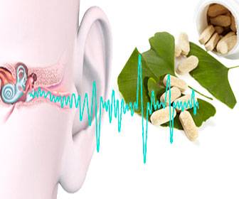 Treat with ginkgo biloba tinnitus