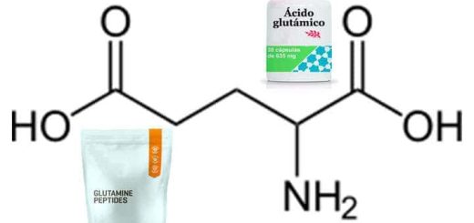 Glutamic acid, properties and uses of glutamine