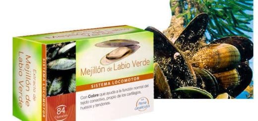 Green-lipped mussel from New Zealand, properties and contraindications