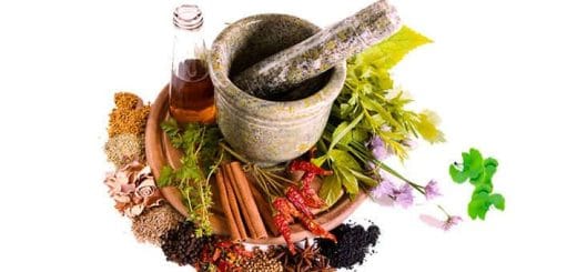 Phytotherapy: what it is, what it’s used for, and its uses