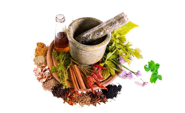 Phytotherapy: what it is, what it’s used for, and its uses What is phytotherapy and what is it used for