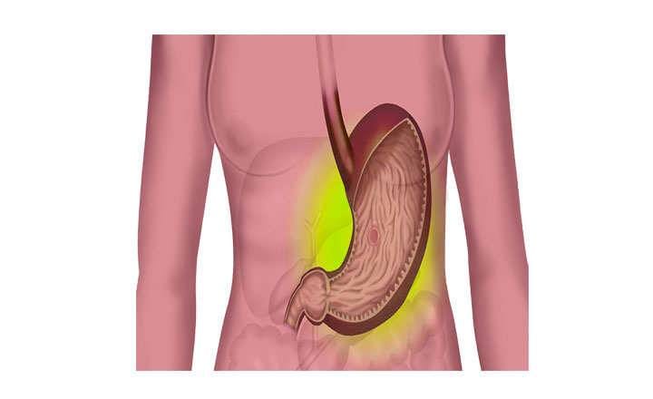 Hydrochloric acid secretion in the stomach