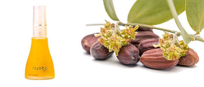 Jojoba oil, properties and benefits for hair and face What is jojoba oil and what is it used for