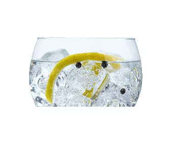 Gin and tonic with juniper berries