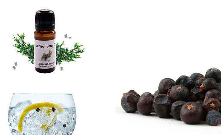 Juniper berries for digestion, in oil and as a gin and tonic garnish