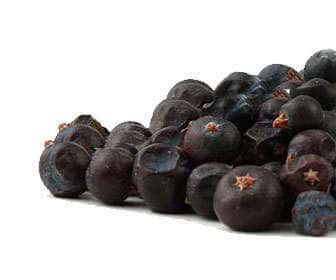 Juniper berries