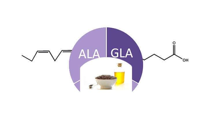 Differences between alpha linolenic acid and gamma linolenic acid