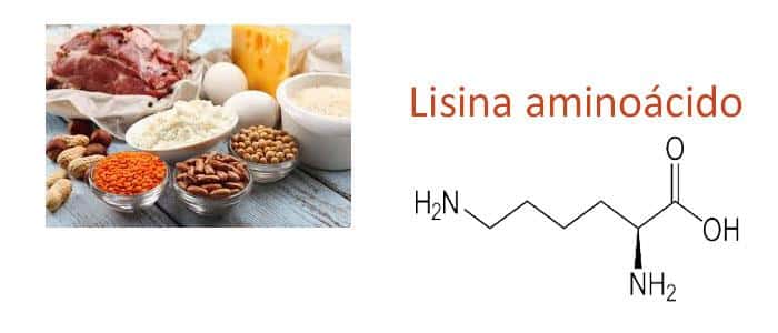 lysine Lysine: Properties, Uses, and Side Effects Lysine amino acid for children