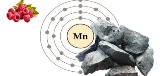 Manganese: properties of the trace element in foods and supplements