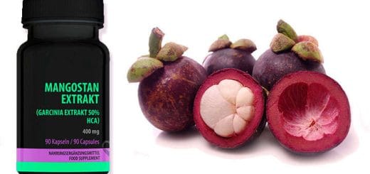 Mangosteen and the properties of Garcinia mangostana