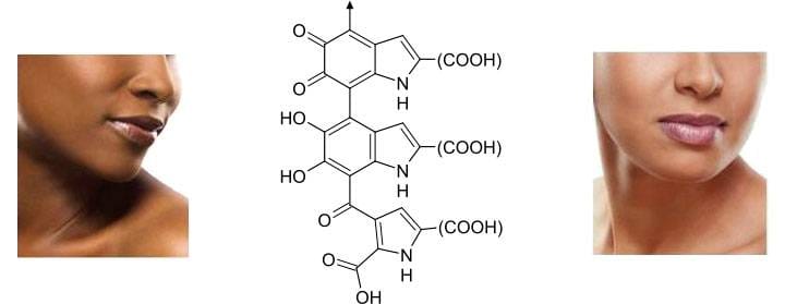 What is melanin and what is it used for in the skin, hair, and eyes
