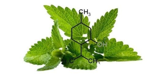 Menthol, what it is for, its properties crystallized, Chinese and Davis