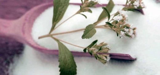 Natural sweeteners: Are they better? Why? Differences and advantages