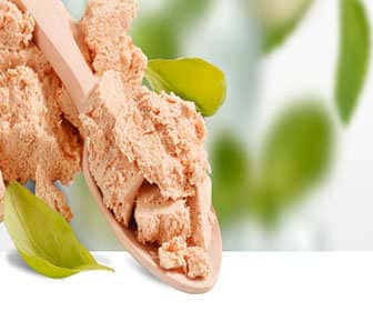 Oligofructose content