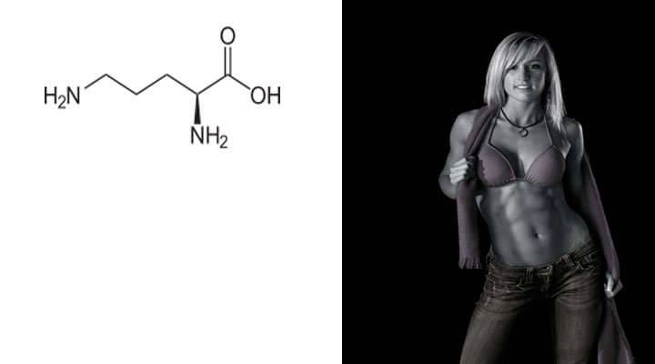 Ornithine