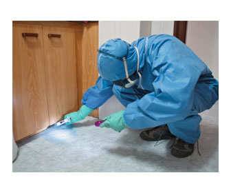 Pest control company
