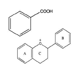 Phenols: what they are, formula, uses, and physical and chemical properties Phenolic chemical structure