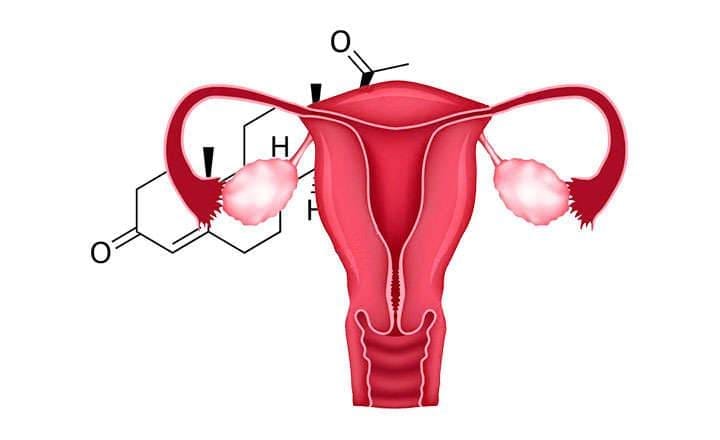 What is progesterone and what are its effects on health