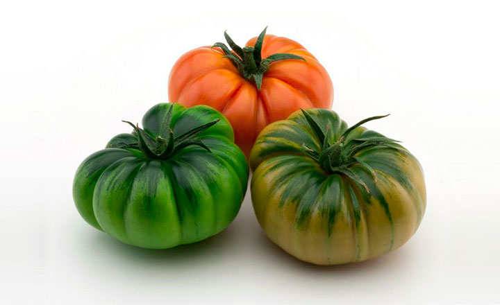 Almería Raf tomatoes