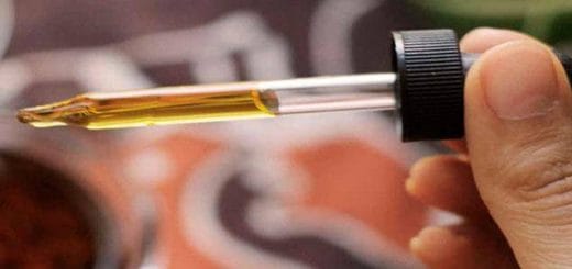 Uses of Rosehip Oil for Scars and Stretch Marks – It Works! Uses of Rosehip Oil for Scars and Stretch Marks – It Works!