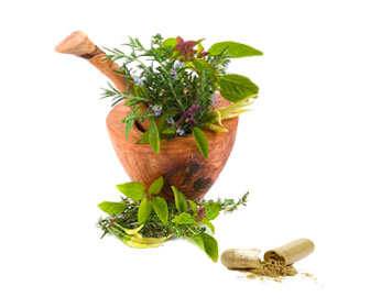 Natural sedatives for deep sleep (adults and children) How to take sedatives, dosage and amounts