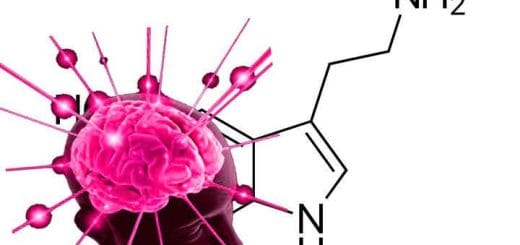 What is natural serotonin, and how does the well-being hormone work?