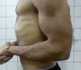 Tribulus terrestris for bodybuilding