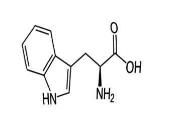 Tryptophan chemical structure