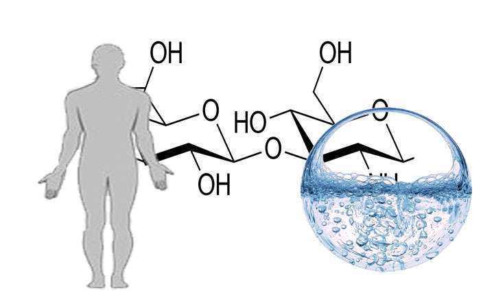 What Hyaluronic Acid Is and What It Is Used For in Aesthetics and Medicine Dónde se encuentra el Ácido hialurónico (LISTA ACTUALIZADA)