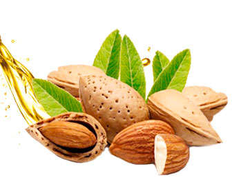 aguacate y aceite de almendras para el cabello